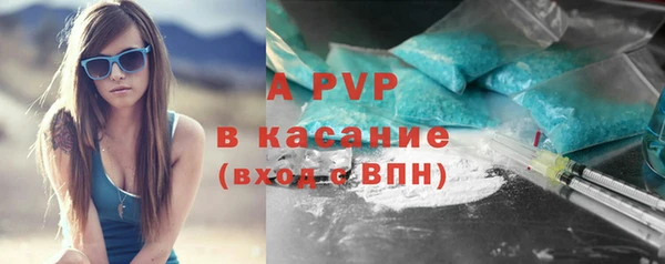 крисы Алексин