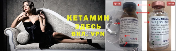 крисы Алексин