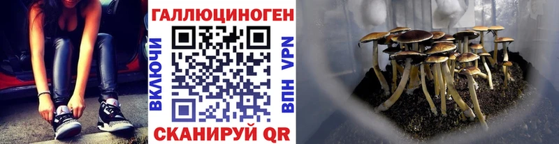 Псилоцибиновые грибы Psilocybe  купить наркотики цена  Богучар 